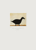 Petit canard