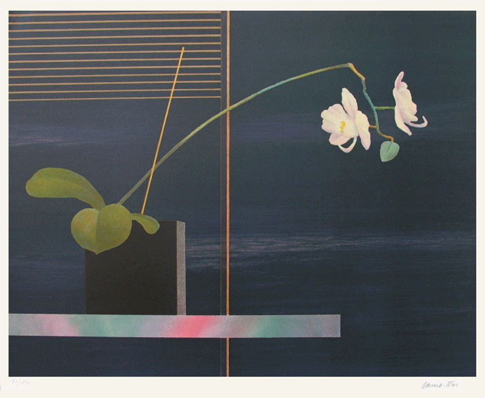 Orchidée dans la nuit