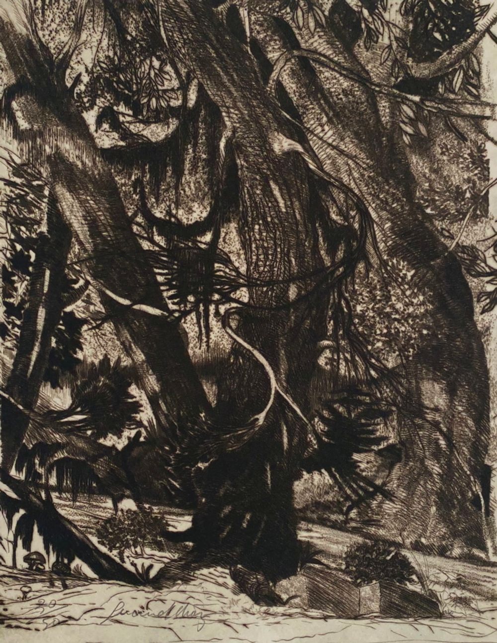 La forêt