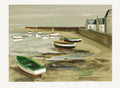 Barques vertes