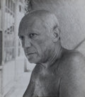 Picasso (portrait)