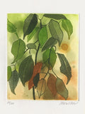 Leaves