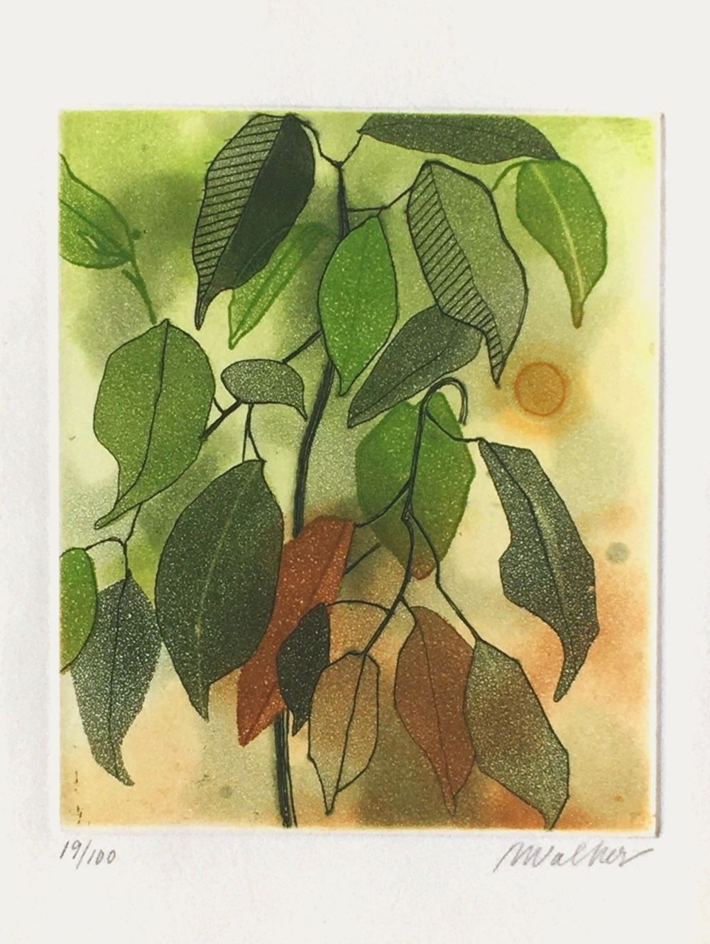 Leaves
