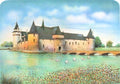 Châteaux de France - Le Plessis-Bourré