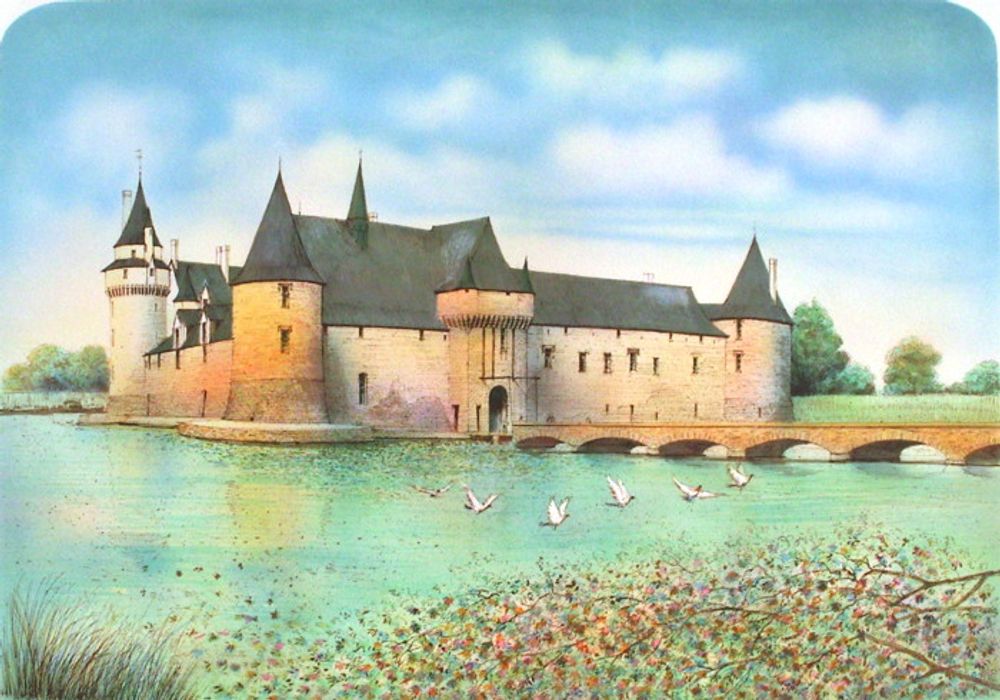 Châteaux de France - Le Plessis-Bourré