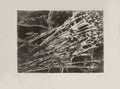 AP183 - Coup de fusil en juin