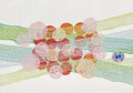 Cosmos