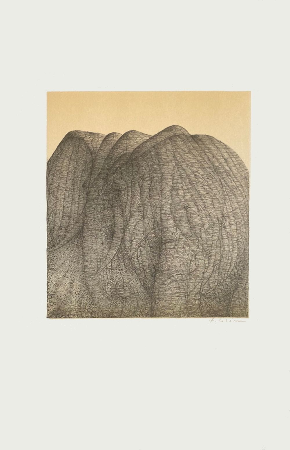 Polymorphoses - La montagne éléphante