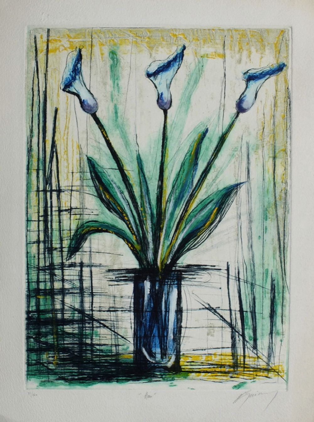 Fleurs : Arum
