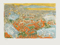 Les serres à Vallauris I