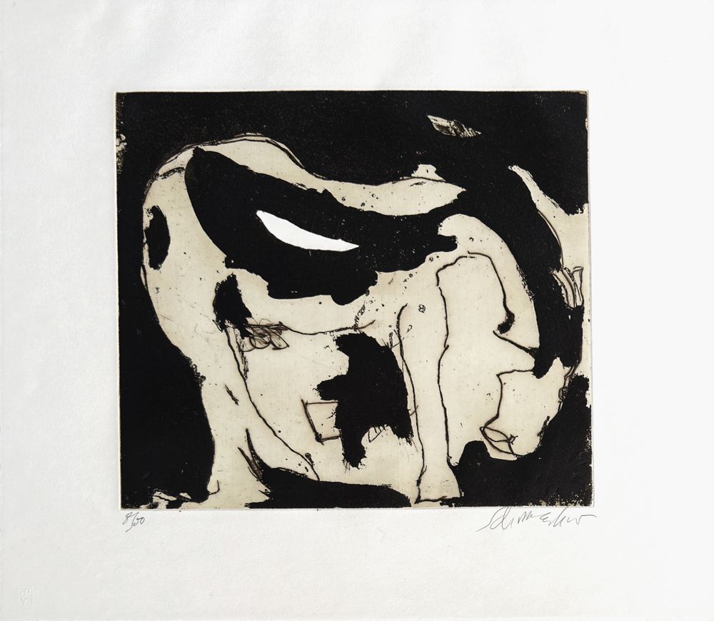 5 / 1988