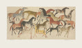 Les chevaux II