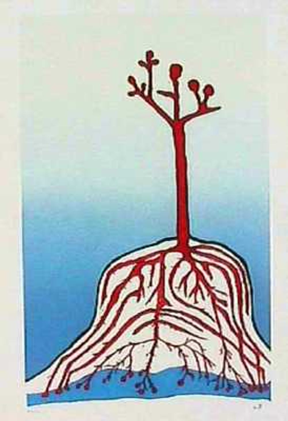 The Ainu tree