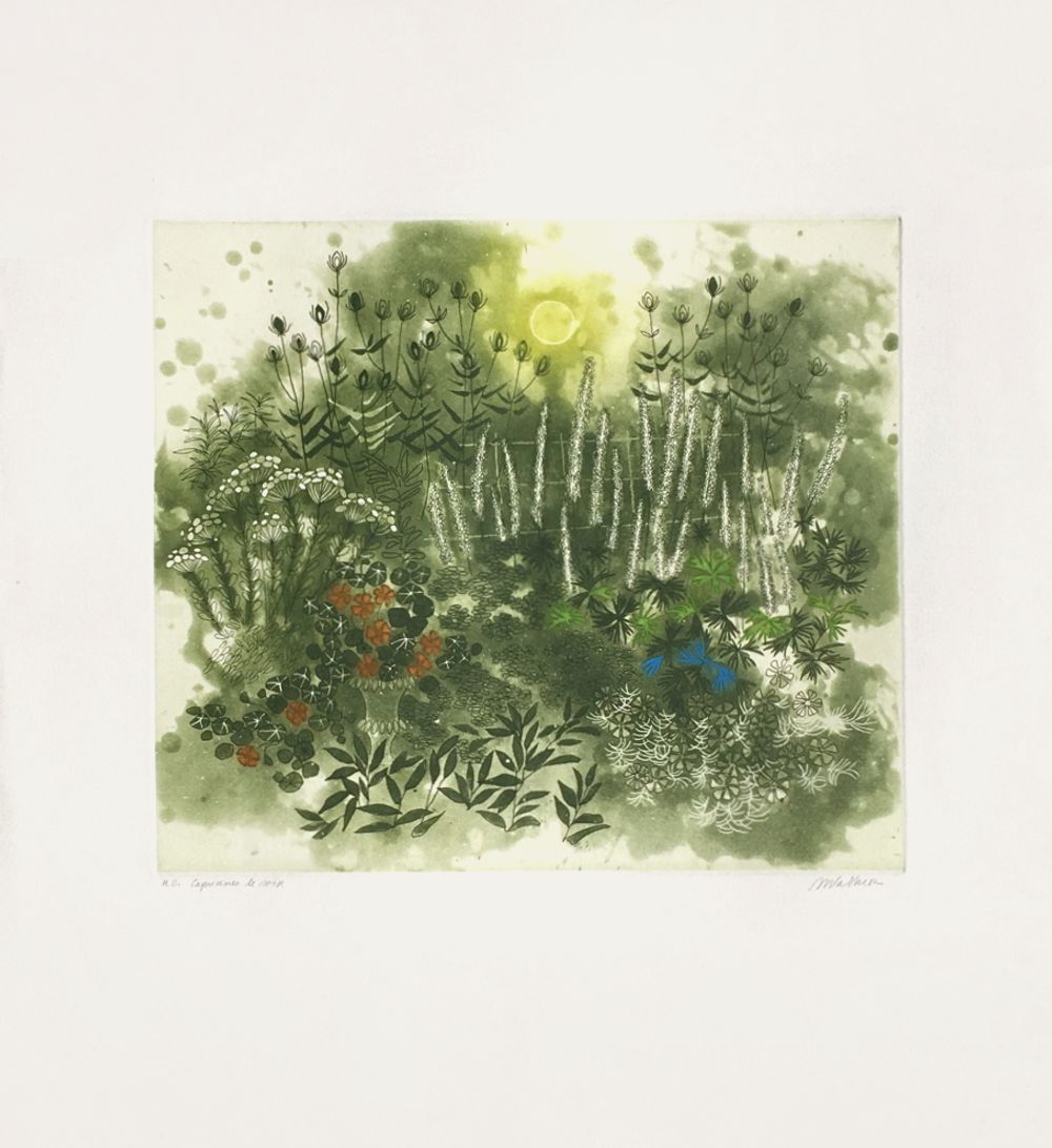 Capucines le soir