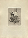 Fleurs NB III