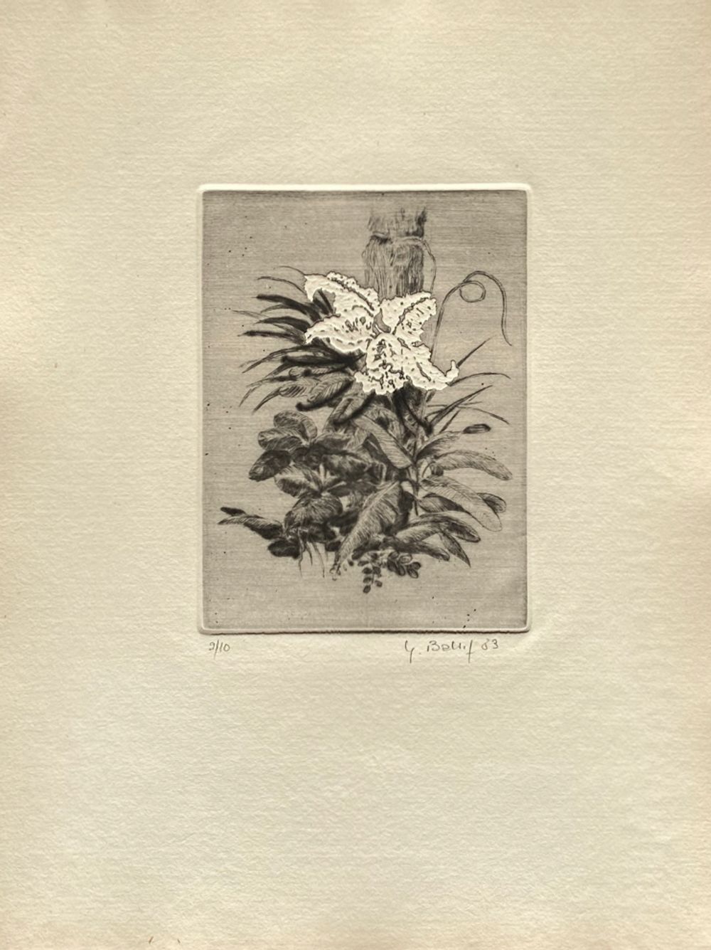 Fleurs NB III