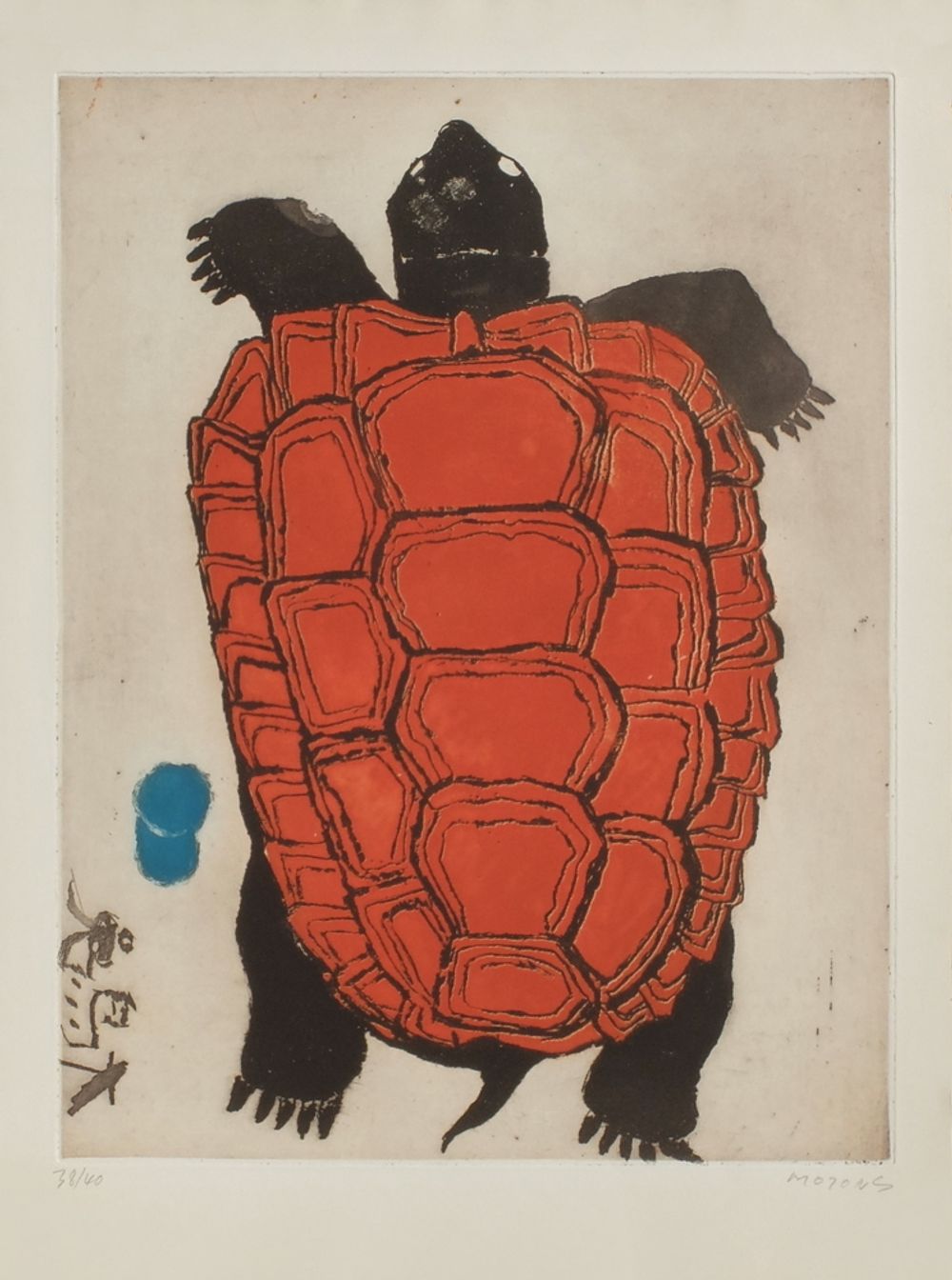 Tortue