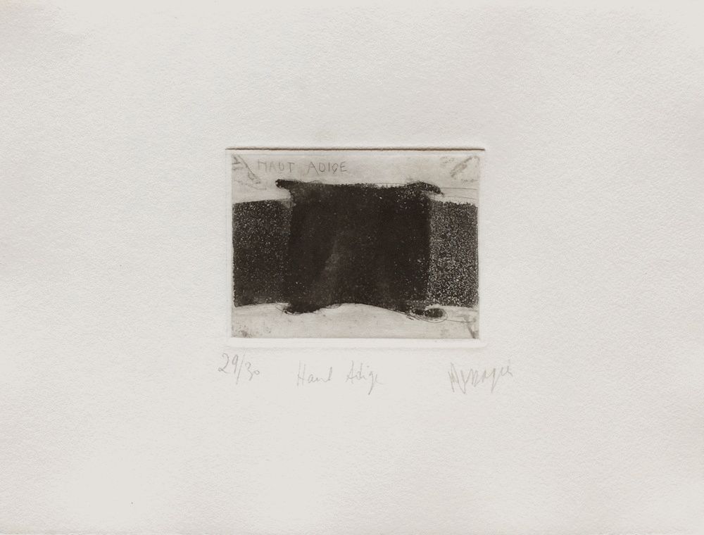 AP107 - Haut-Adige