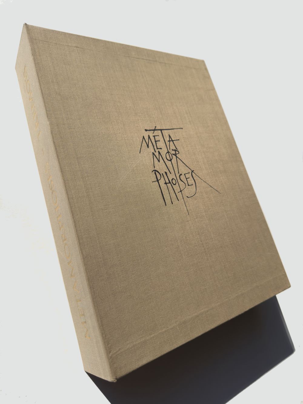 Métamorphoses - 20 gravures in texte + suite — vue 17