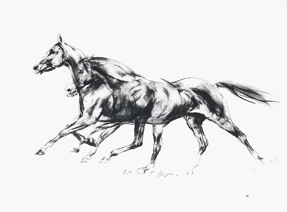 Chevaux en liberté