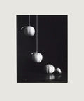 Les poires et les melons 1950