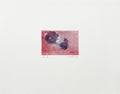 Composition 84-11
