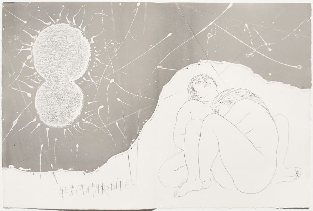 Métamorphoses - 20 gravures in texte + suite — vue 9
