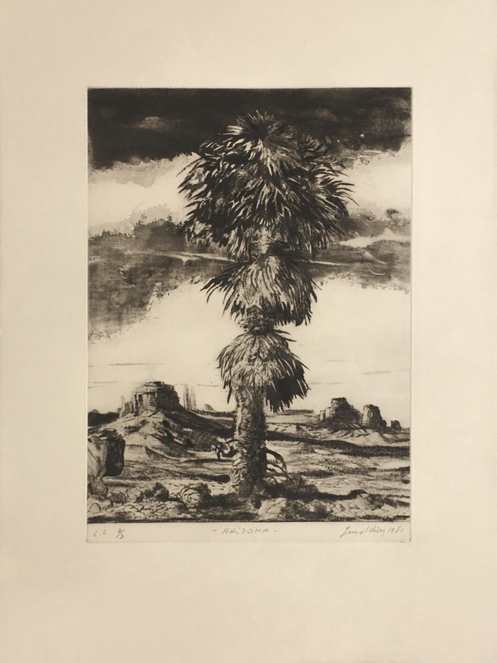 Arizona