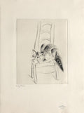 Chat sur une chaise