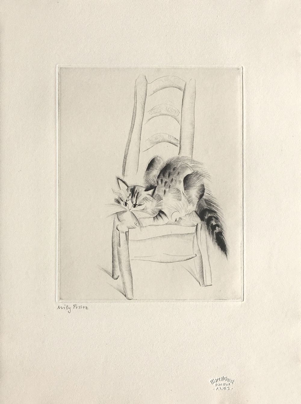Chat sur une chaise