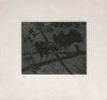Oiseaux II