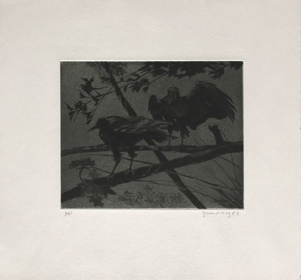 Oiseaux II