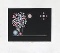 Fleurs de lune