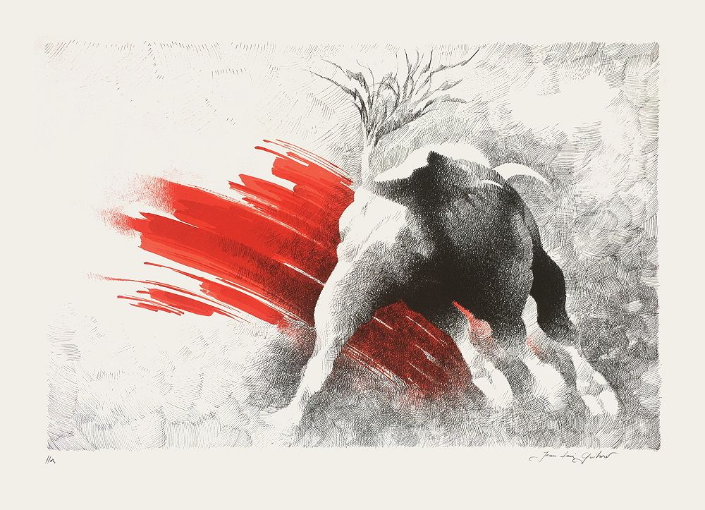 Toros IV