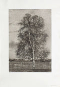 L'arbre à la palissade
