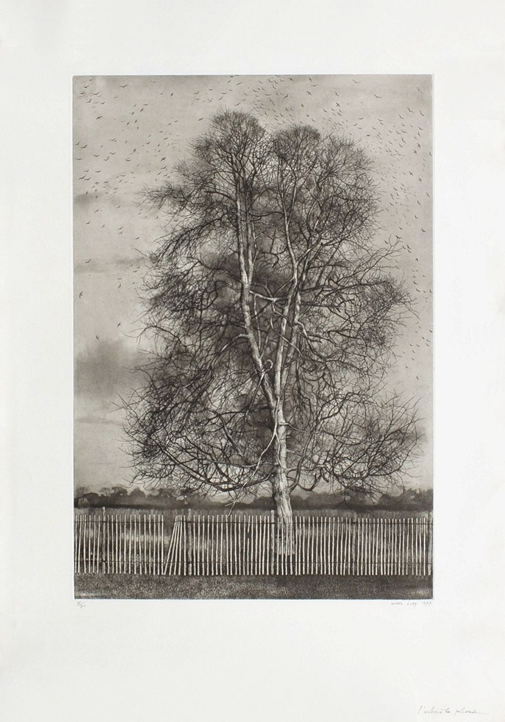 L'arbre à la palissade
