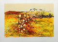 Soleil de Provence II