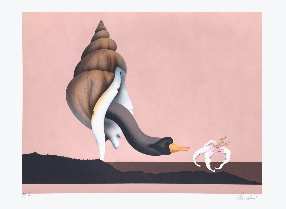 Le cygne et l'orchidée