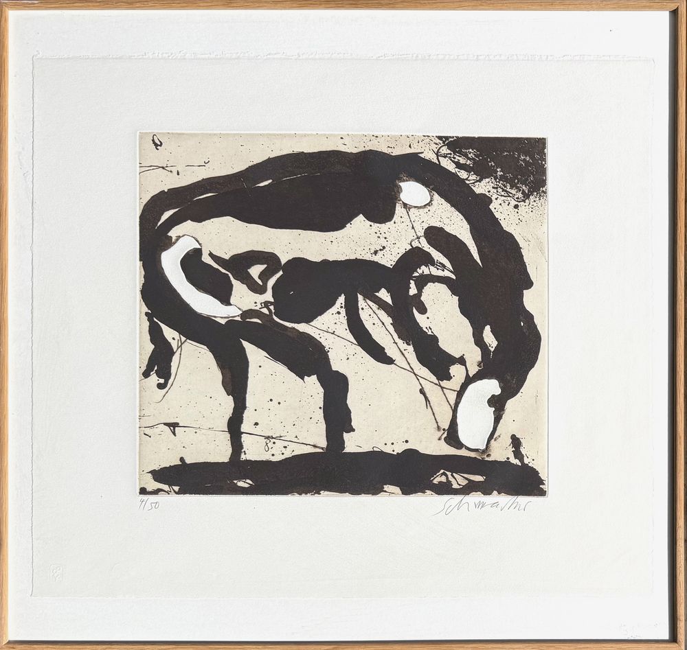 6 / 1988 — vue 2