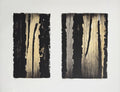 Forêt matinale