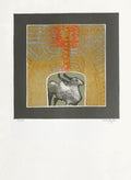 Zebu