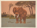 Elefante I