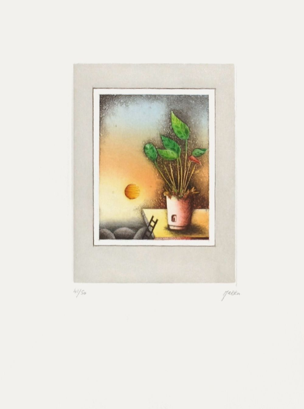 Plante verte