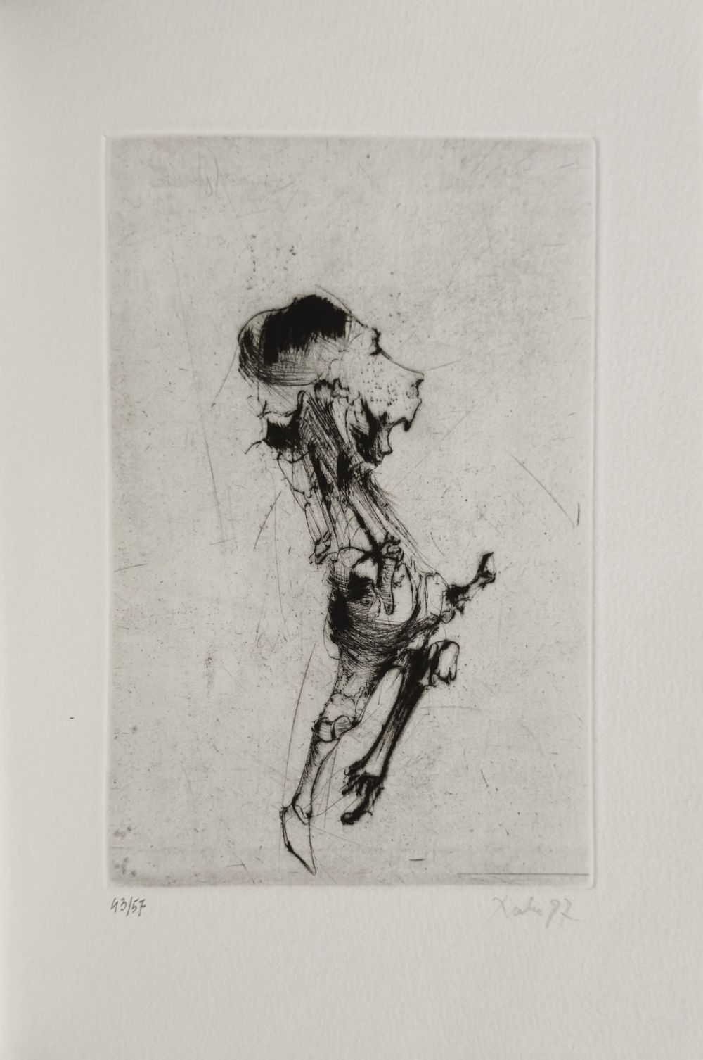Vacuoles - Texte Claude Louis Combet (3 gravures signées) — vue 2