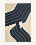 Fondation Maeght