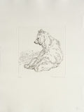 L'ours I