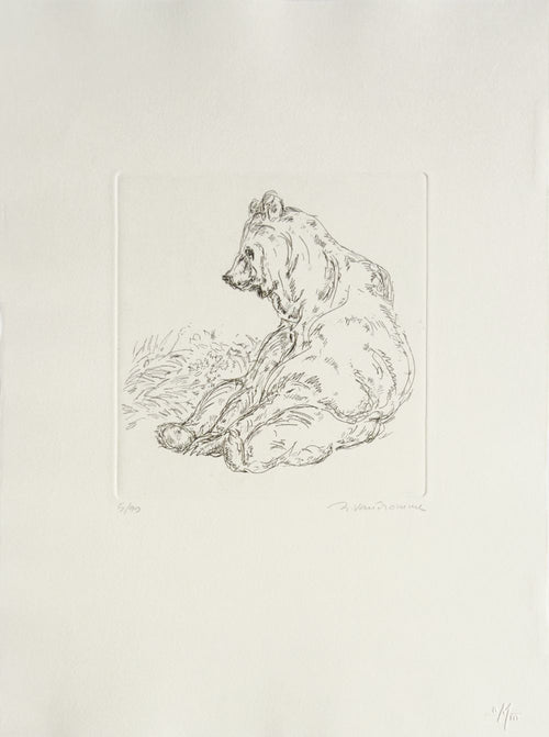 L'ours I