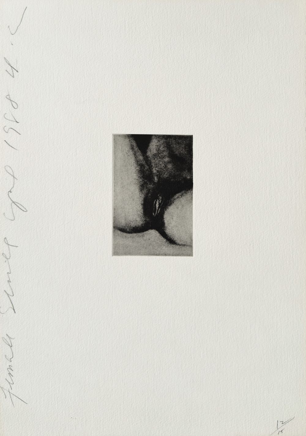 Females series III