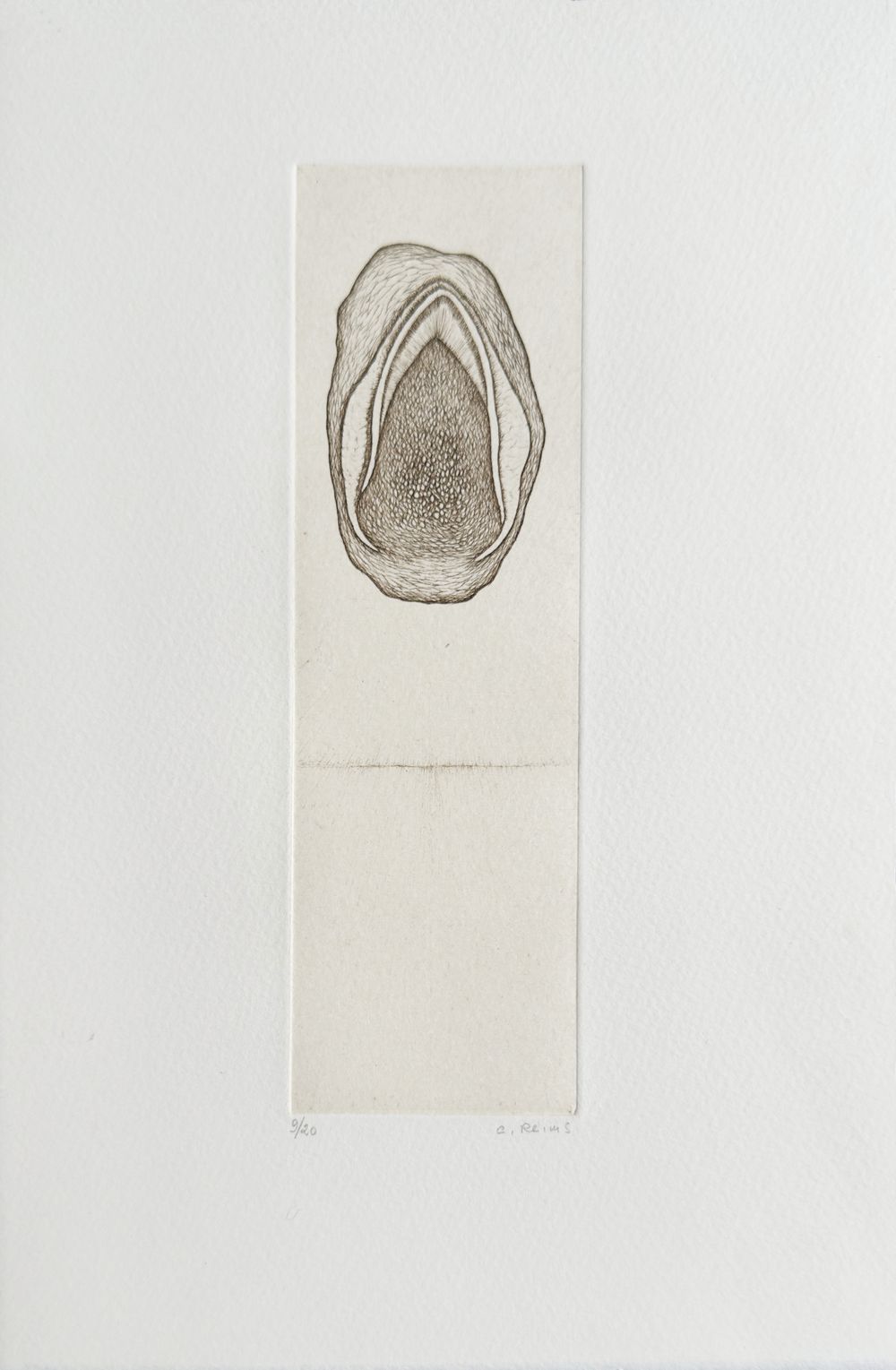 Histoire naturelle I (portfolio de 5 gravures)