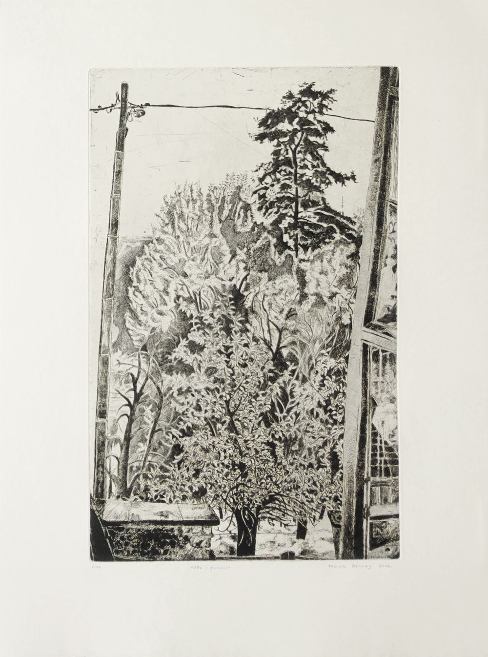 Hêtre et pommier